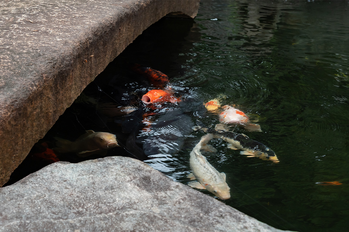 業務内容の画像
